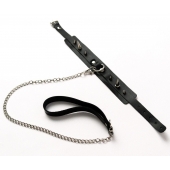 Черный ошейник с шипами и поводком - Crazy Handmade - купить с доставкой в Нижнем Новгороде