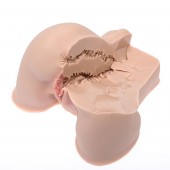 Мастурбатор-полуторс Naked Factory Kate - Naked Factory - в Нижнем Новгороде купить с доставкой