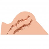 Мастурбатор-полуторс Naked Factory Hannah - Naked Factory - в Нижнем Новгороде купить с доставкой