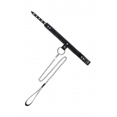 Черный узкий однослойный ошейник с серебристым поводком-цепочкой - Pecado - купить с доставкой в Нижнем Новгороде