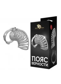 Серебристый мужской пояс верности в виде колечек с замочком - Джага-Джага - купить с доставкой в Нижнем Новгороде