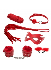 Эротический набор БДСМ из 6 предметов в красном цвете - Rubber Tech Ltd - купить с доставкой в Нижнем Новгороде