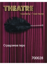 Чёрное страусовое пёрышко - ToyFa - купить с доставкой в Нижнем Новгороде