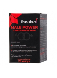 Капсулы для мужчин Erotichard male power с пантогематогеном - 20 капсул (0,370 гр.) - Erotic Hard - купить с доставкой в Нижнем Новгороде