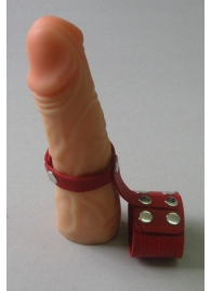Красный кожаный поводок на пенис с кнопками - Sitabella - купить с доставкой в Нижнем Новгороде