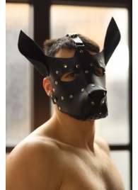 Эффектная маска собаки с металлическими заклепками - БДСМ Арсенал - купить с доставкой в Нижнем Новгороде