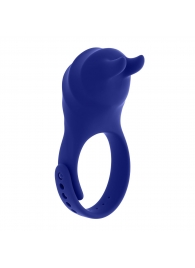 Синее эрекционное виброкольцо с клиторальной подушечкой и пультом ДУ Adjustable Fun Ring - Zero Tolerance - в Нижнем Новгороде купить с доставкой