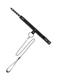 Черный узкий однослойный ошейник с серебристым поводком-цепочкой - Pecado - купить с доставкой в Нижнем Новгороде