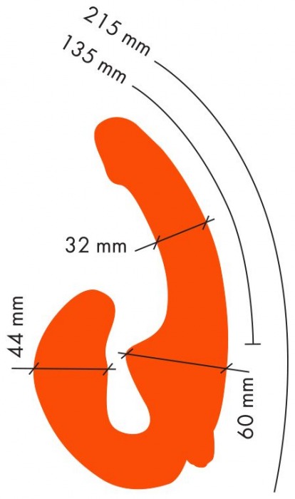 Оранжевый анатомический страпон с вибрацией - Главсексмаг - купить с доставкой в Нижнем Новгороде