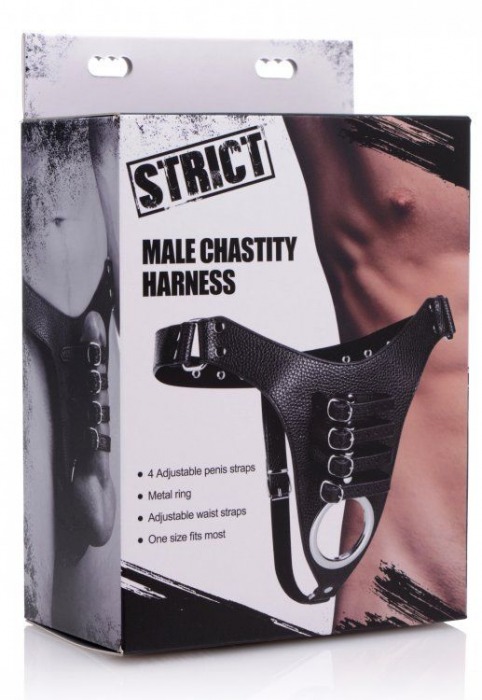 Мужской пояс верности с ремешками Male Chastity Harness - XR Brands - купить с доставкой в Нижнем Новгороде