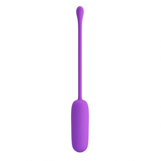 Фиолетовое перезаряжаемое виброяйцо Joyce - Baile