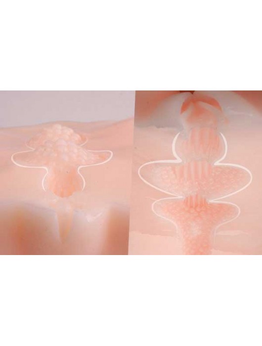 Мастурбатор-полуторс Angel без вибрации - KOKOS - в Нижнем Новгороде купить с доставкой