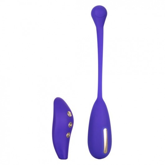 Фиолетовый шарик с электростимуляцией и вибрацией Intimate E-Stimulator Remote Kegel Exerciser - California Exotic Novelties - купить с доставкой в Нижнем Новгороде