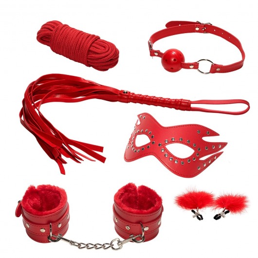 Эротический набор БДСМ из 6 предметов в красном цвете - Rubber Tech Ltd - купить с доставкой в Нижнем Новгороде
