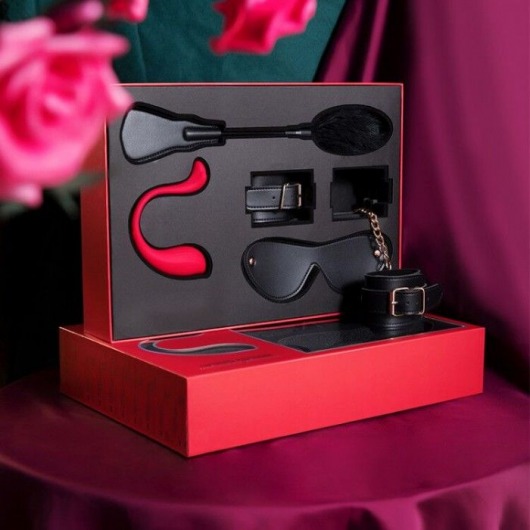 Эротический подарочный набор LIMITED EDITION BDSM GIFT BOX - Svakom - купить с доставкой в Нижнем Новгороде