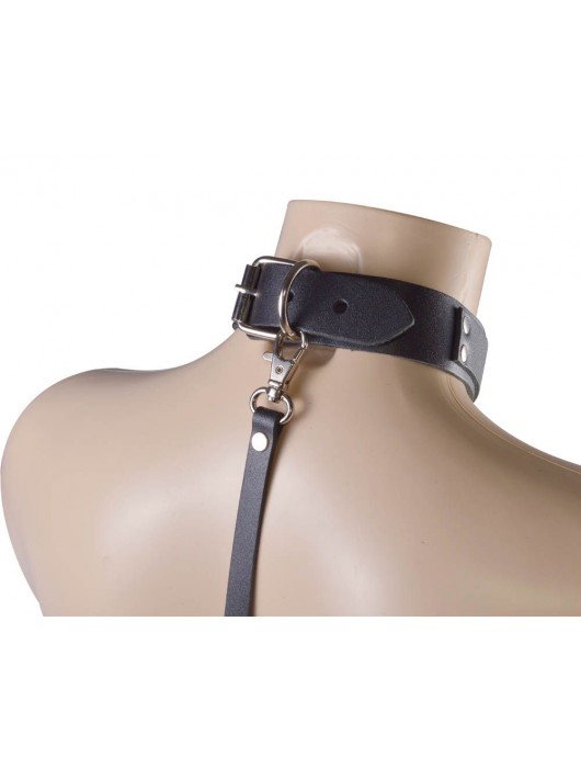 Черный ошейник с металлическими зажимами на соски и поводком - Sitabella - купить с доставкой в Нижнем Новгороде