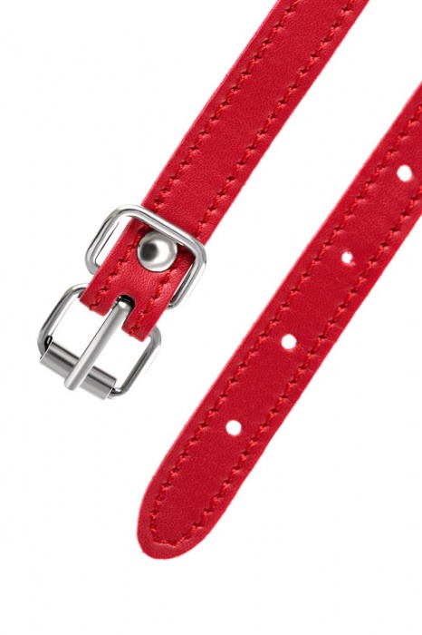 Красная маска Anonymo из искусственной кожи - ToyFa - купить с доставкой в Нижнем Новгороде