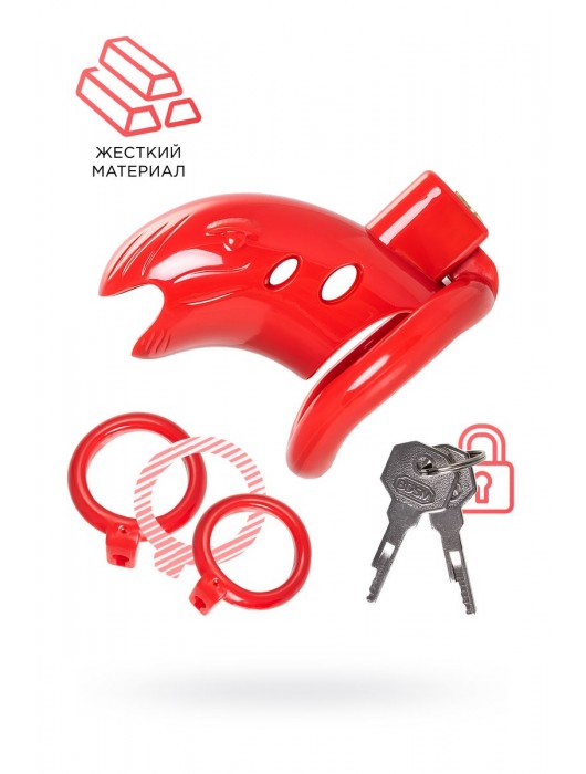 Красный мужской пояс верности из пластика - ToyFa - купить с доставкой в Нижнем Новгороде