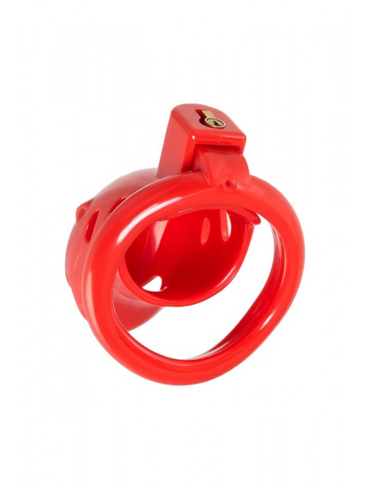 Красный мужской пояс верности из пластика - ToyFa - купить с доставкой в Нижнем Новгороде