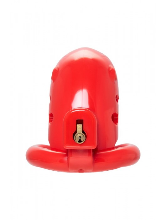 Красный мужской пояс верности из пластика - ToyFa - купить с доставкой в Нижнем Новгороде