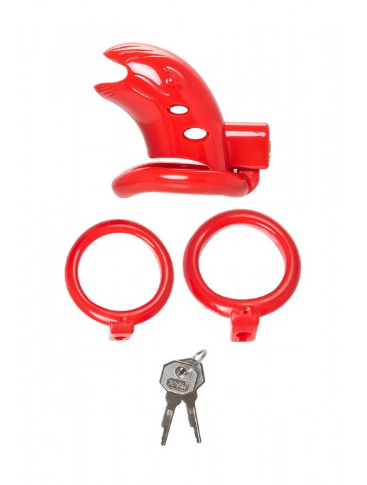 Красный мужской пояс верности из пластика - ToyFa - купить с доставкой в Нижнем Новгороде