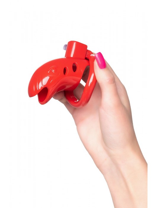 Красный мужской пояс верности из пластика - ToyFa - купить с доставкой в Нижнем Новгороде