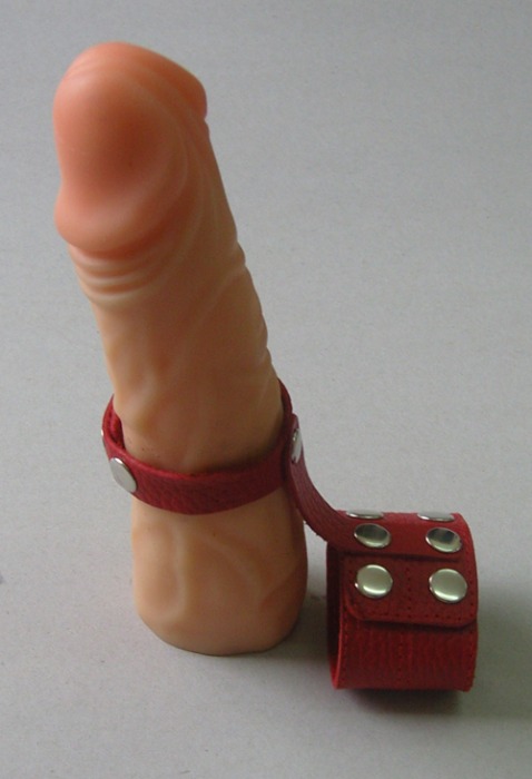 Красный кожаный поводок на пенис с кнопками - Sitabella - купить с доставкой в Нижнем Новгороде