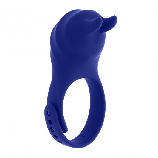 Синее эрекционное виброкольцо с клиторальной подушечкой и пультом ДУ Adjustable Fun Ring - Zero Tolerance - в Нижнем Новгороде купить с доставкой