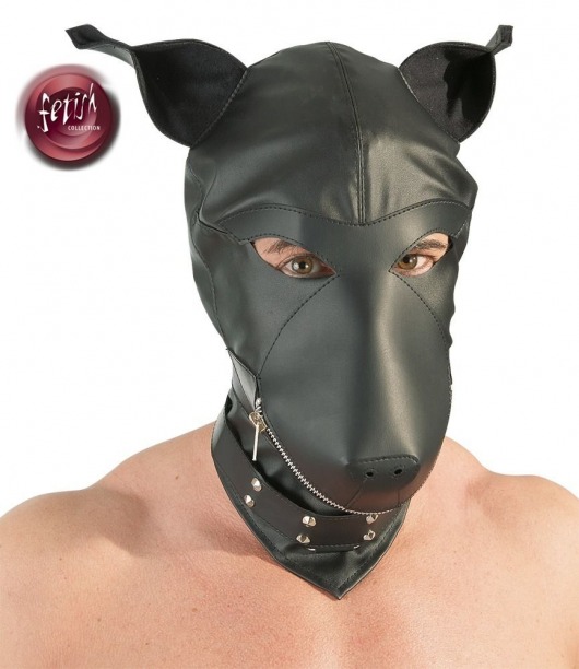 Шлем-маска Dog Mask в виде морды собаки - Orion - купить с доставкой в Нижнем Новгороде