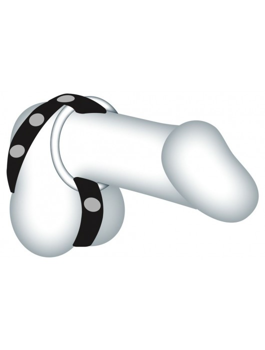 Подхват для мошонки с 3 съемными эрекционными кольцами Leder-Riemen - Orion - в Нижнем Новгороде купить с доставкой