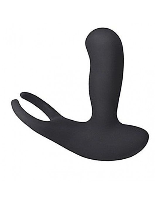 Стимулятор простаты Levett Earl с 2 моторами и пультом ДУ - Levett - в Нижнем Новгороде купить с доставкой