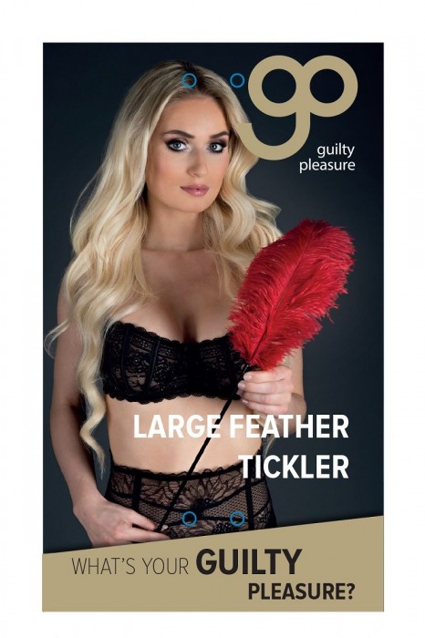 Стек с большим красным пером Large Feather Tickler - 65 см. - Blush Novelties - купить с доставкой в Нижнем Новгороде