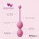 Набор из 3 розовых вагинальных шариков FemmeFit Advanced Pelvic Muscle Training Set - FeelzToys в Нижнем Новгороде Набор из 3 розовых вагинальных шариков FemmeFit Advanced Pelvic Muscle Training Set - FeelzToys