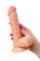 Телесный фаллоимитатор Lorn - 20 см. - ToyFa купить с доставкой в интернет-магазине Orgasmix в Нижнем Новгороде Телесный фаллоимитатор Lorn - 20 см. - ToyFa