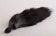 Силиконовая анальная пробка с длинным черным хвостом  Серебристая лиса - 4sexdreaM